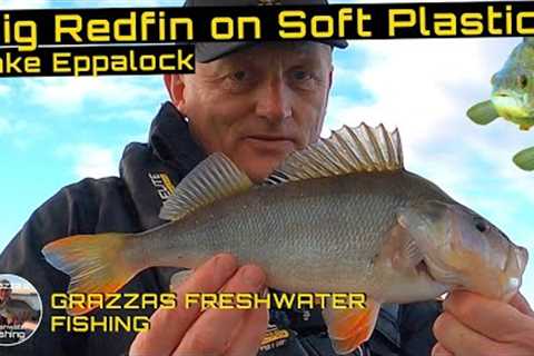 Fishing for Redfin Perch with Soft Plastics | Lake Eppalock