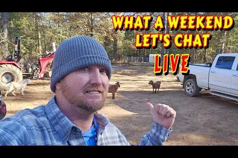 TIME IS FLYING LET'S CHAT |tiny house, homesteading, off-grid cabin build DIY HOW TO sawmill tractor