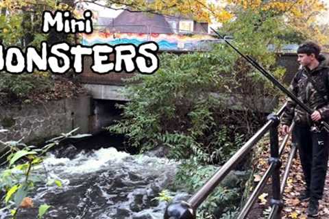 CATCHING mini MONSTERS from a LONDON river