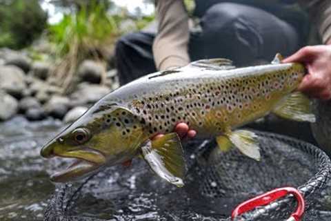 Fly Fishing/Camping Trip Fail.