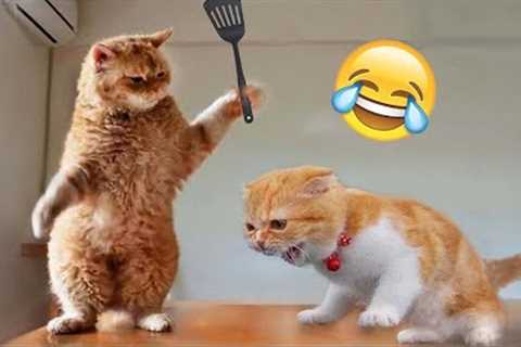 Funniest Animals 2023 😂 Best Funny Cats and Dogs Videos 😹🐶 Part 16
