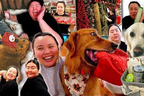 VLOG: meet our new dog family, an emotional surprise gift, holiday shopping, gift basket ideas, phở!