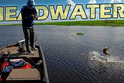 Revealing Headwaters Lake Hot Fishing Spots!