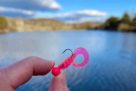 THIS Tiny Lure is a Fish Catching Machine! (pond fishing)