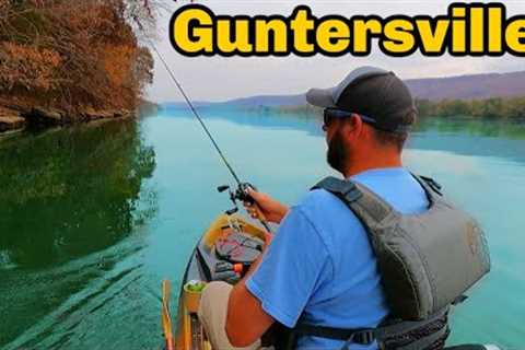 This Lake Has Monster Bass (Guntersville Lake)
