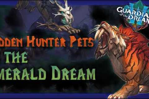 Discover the HIDDEN Hunter Pets in 10.2!