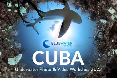Cuba Scuba Diving and Cultural Tour 2023 - Bluewater Travel