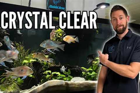 How to Keep Crystal Clear Aquarium Water