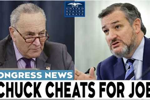 'THIS IS A MISTAKE' Ted Cruz SHREDS Chuck Schumer in HEATED exchange after STUPID easy V0TING plan