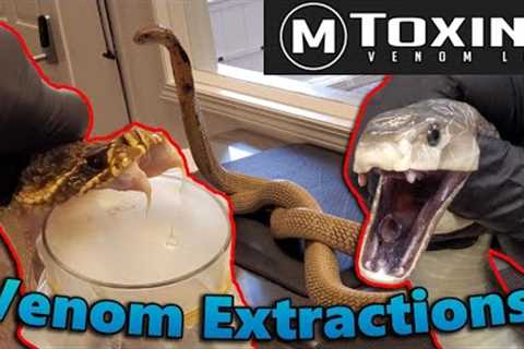 Touring MToxins- Wisconsin's Venom Lab!