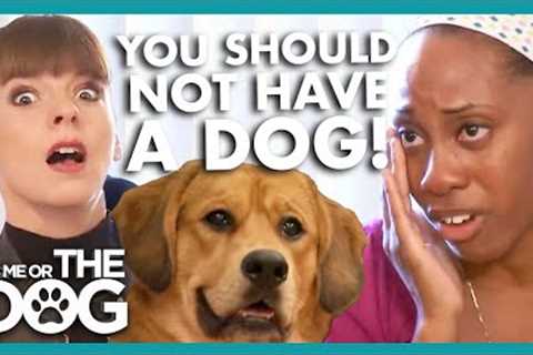 Destruction as Puppy Left At Home All Day😱 | It's Me or The Dog