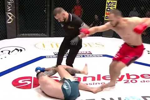 Most Spectacular MMA Knockouts Summer 2023 | HD