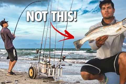 Ultimate Taste Test: Catch and Cook Unseasoned | Search for Most Delicious Fish!