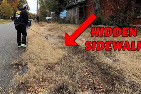 Stroke Survivor's Sidewalk Was ENGULFED By OVERGROWN GRASS