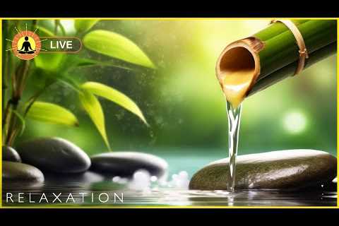 🔴 Relaxing Music 24/7, Sleep Music, Stress Relief Music, Spa, Meditation, Yoga, Zen, Calming Music