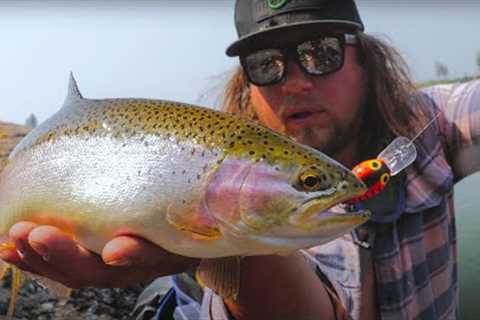 BEGINNERS Guide To Successful TROUT Fishing - 3 Detailed Trout Tactics