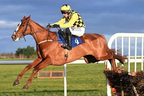 👀 DADDY LONG LEGS looks smart for Willie Mullins | Racing TV