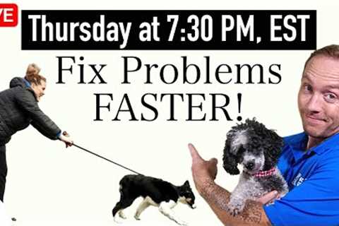 7 Dog Training Mistakes You NEED To Avoid!