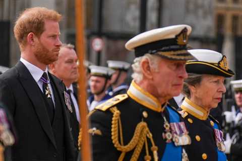 Prince Harry and King Charles: A Royal Reconciliation?