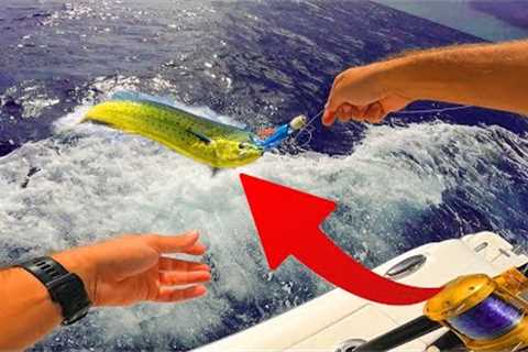 Catching Mahi in 140ft (Catch and Cook)