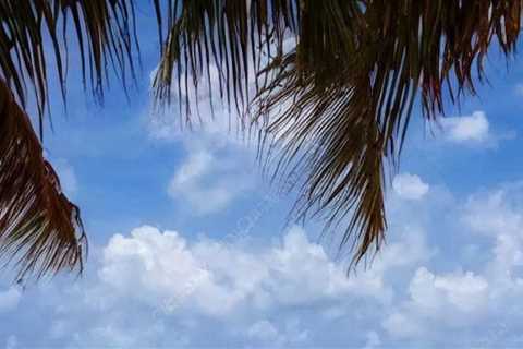 Exploring the Safety of Cancun: Should You Take the Risk and Visit Now?