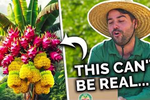Gardeners React to Best &amp; WORST Garden Hacks
