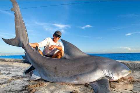 REVENGE on GIANT Bull Shark! Catch Clean Cook!