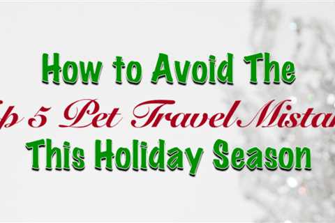 How To Avoid The 5 Most Common Holiday Pet Travel Mistakes