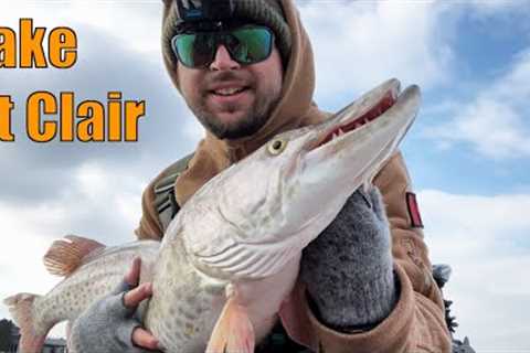 MUSKY fishing on the MINI BOAT &amp; the SHORE!