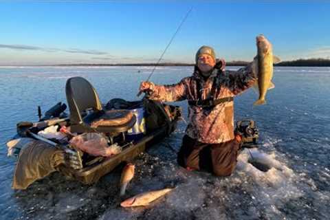 Red Lake Walleye Fishing! Early Ice 2023