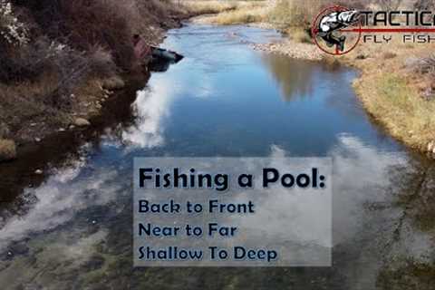 Fishing a Pool: Back to Front, Near to Far, and Shallow to deep