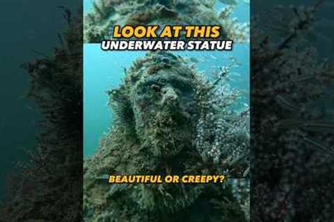 What You Doin If You See This 🤔🤯 #scubadiving #statue #travel #shorts