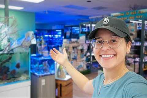 South Florida's Most DIVERSE Aquarium Store (fish store tour)