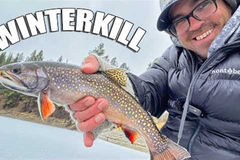 Winterkill