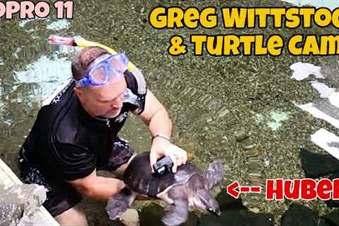 UNDERWATER TURTLECAM &amp; The Pond Guy Swims in our PREDATOR POND