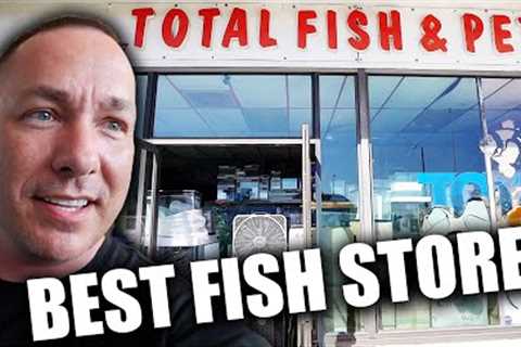 Is THIS the BEST aquarium fish store in America?