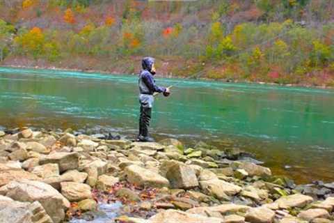 Fishing the NIAGARA RIVER for MONSTER TROUT