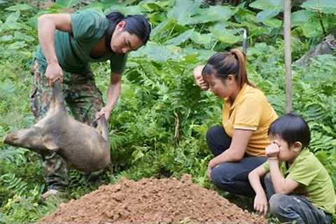 The whole family was sad because the pig had passed away, survival alone