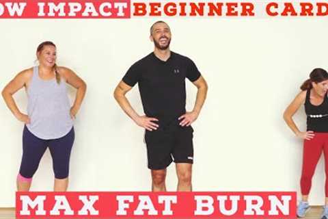 Fat burning Beginner LOW IMPACT home cardio workout - all standing!