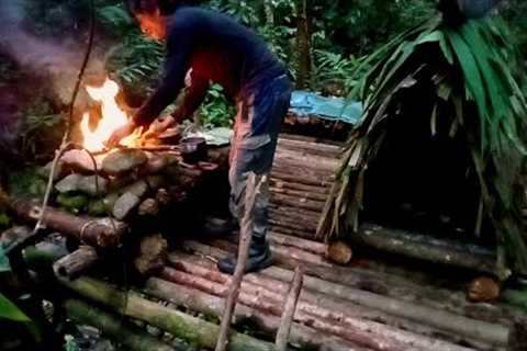 Bushcraft Survival Skills, Safe Shelter in the Trees, Tropical Forest Cuisine of Southeast Asia