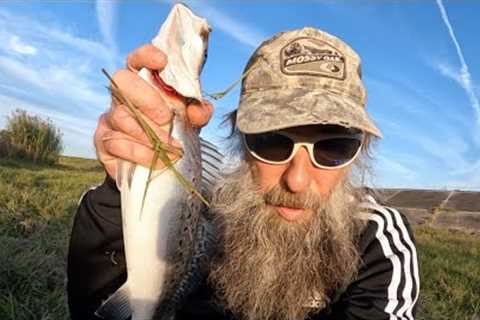 Every Fish A Keeper, Catch, Clean, Cook