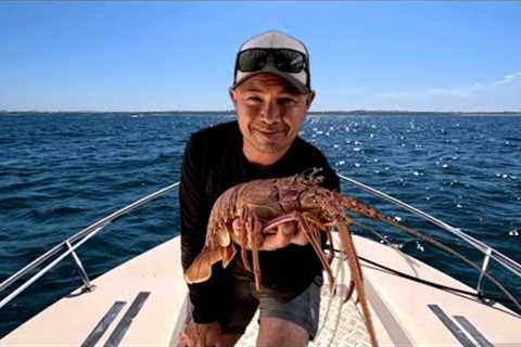 Caught some ROCK LOBSTER and COOKED IT!