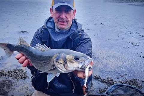 Unleashing the Power of Soft Plastics: Winter Lure Fishing Tips