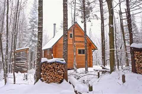 Building A Log Cabin | Ep. 65 | Finally, a cozy place to relax in a snowstorm! Winter Cabin Life