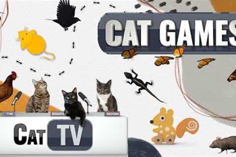 Cat Games | Ultimate Cat TV Compilation Vol 10 | 1 HOUR 🐱📺🐔🦋🐁🦎🦟🎾🐟