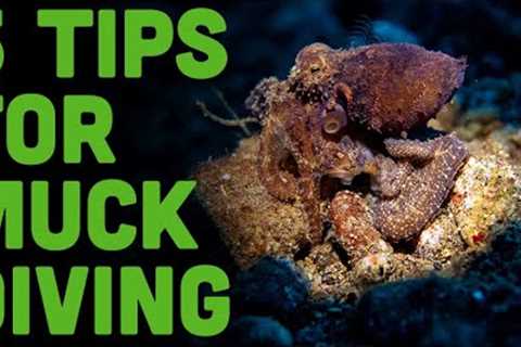 Dumaguete's Macro World Unleashed! 5 Must-Know Tips for Epic Muck Diving Madness