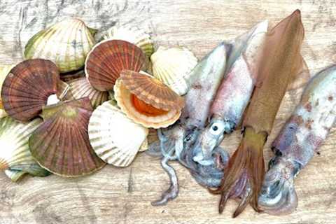 Cornwall in Winter - Fishing, diving and beach cooking | The Fish Locker