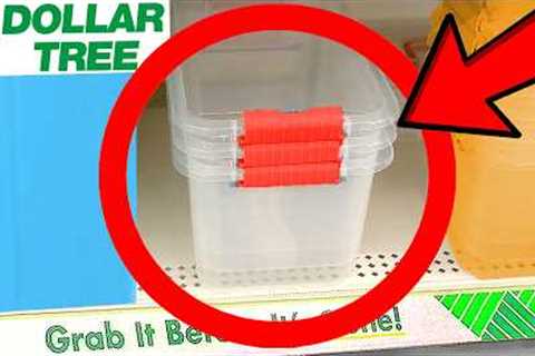 10 Things You SHOULD Be Buying at Dollar Tree in December 2023