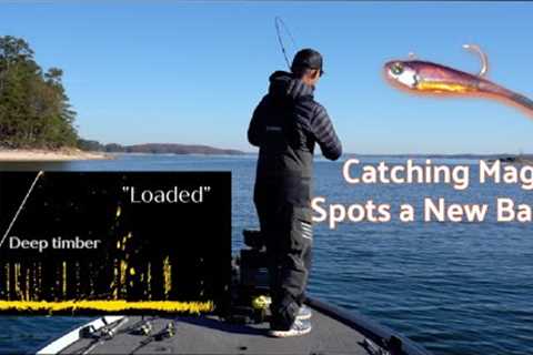 Catching MAG Spots on Lake Lanier(New Bait) + Biscuit Review