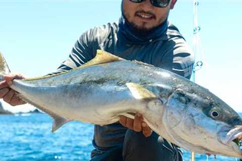 BACK IN NEW ZEALAND | Landbase Kingfish Catch and Cook